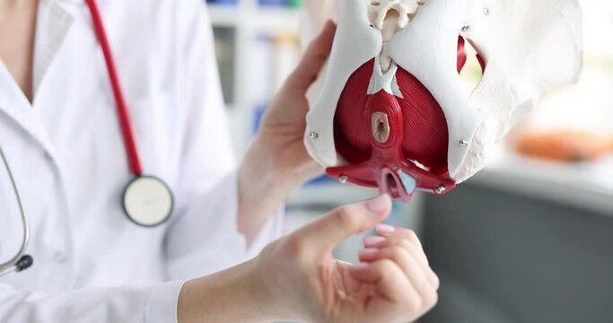 Descending Perineum Syndrome (Perineal Descent): Symptoms, Causes & Pelvic Floor Treatment