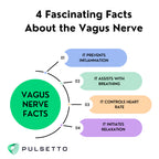 Pulsetto Lite Vagus Nerve Stimulator — Stress, Sleep & Pelvic Calm