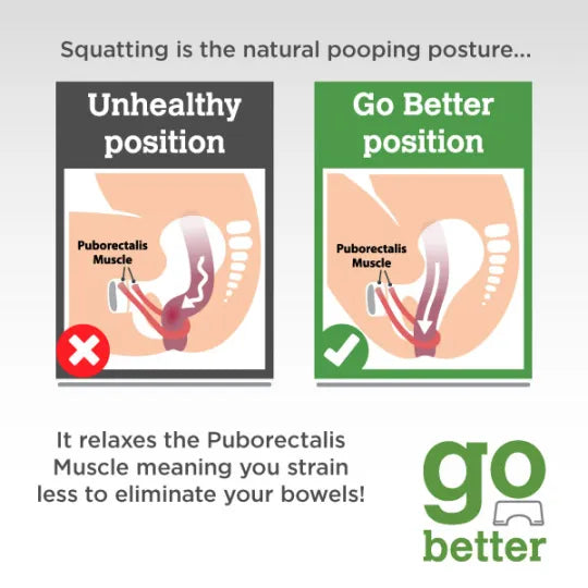 Go Better Folding Toilet Squat Stool