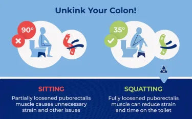 Squatty Potty Curve Toilet Stool