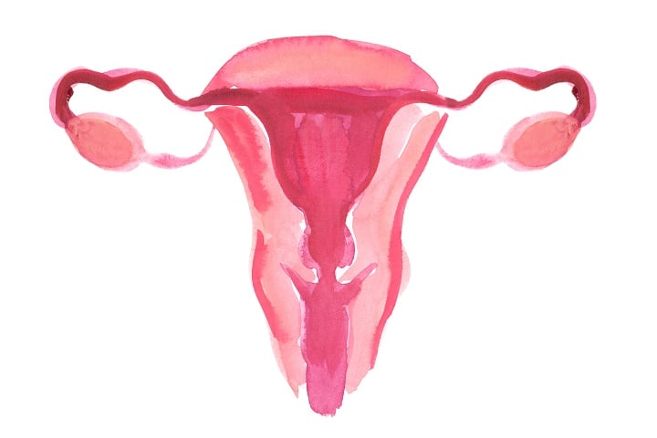 The Five Gynaecological Cancers
