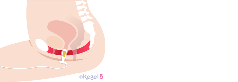 Use a Kegel8 Glide Gold Probe to effectively strengthen your pelvic floor