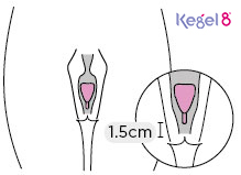 Kegel8 Menstrual Cup Size