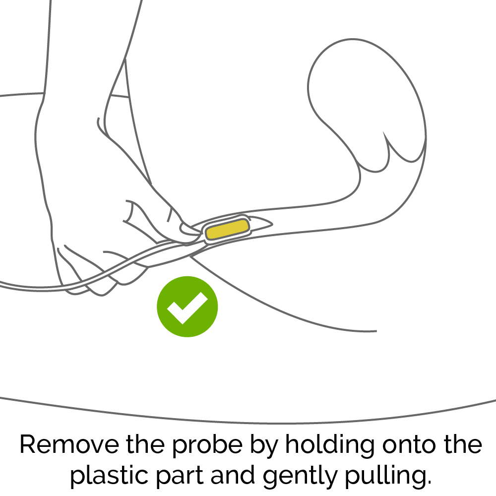 Remove the probe by holding onto the plastic part and gently pulling